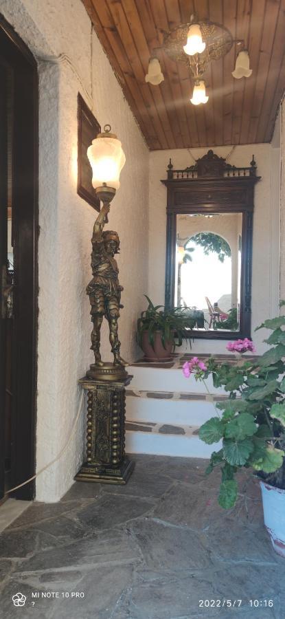 Odysseas Hotel Samos Exteriér fotografie