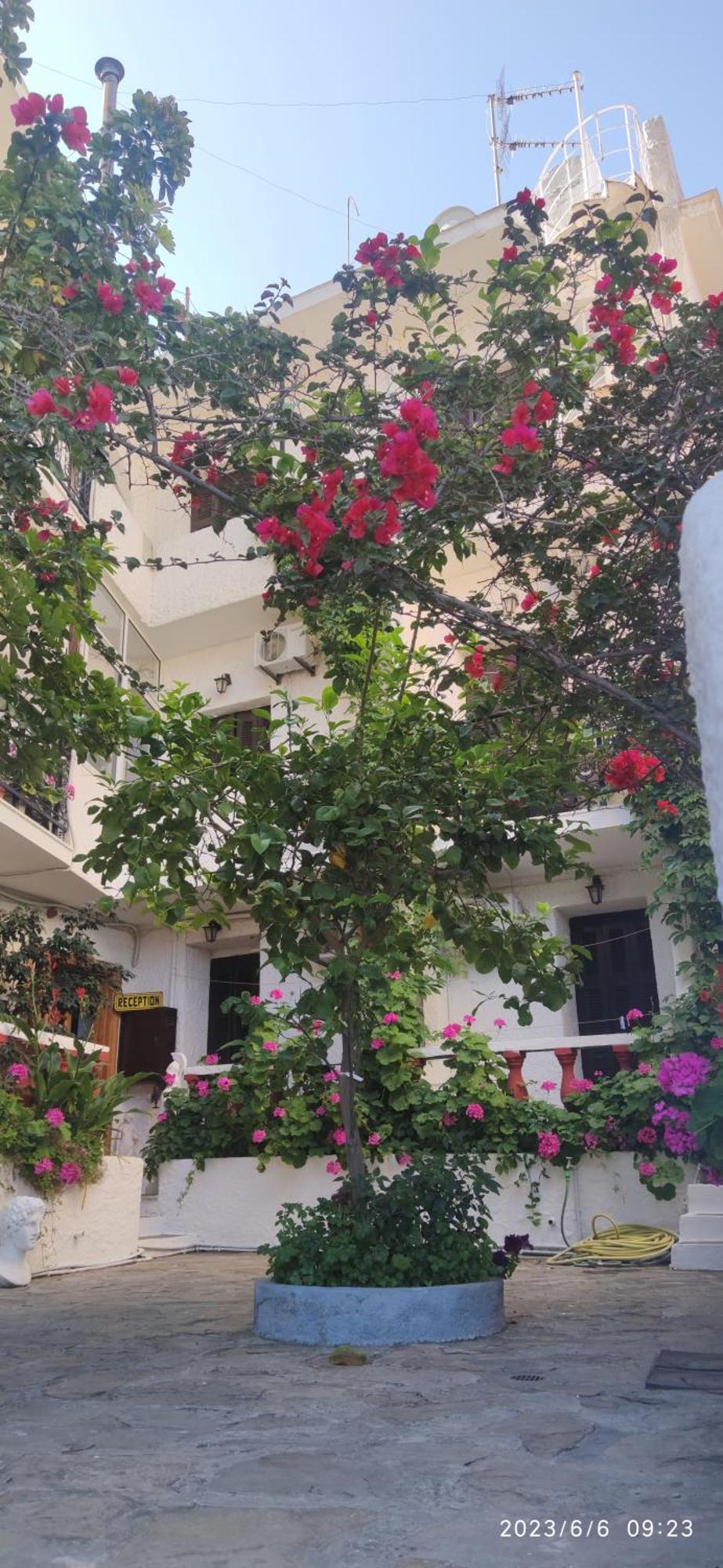 Odysseas Hotel Samos Exteriér fotografie